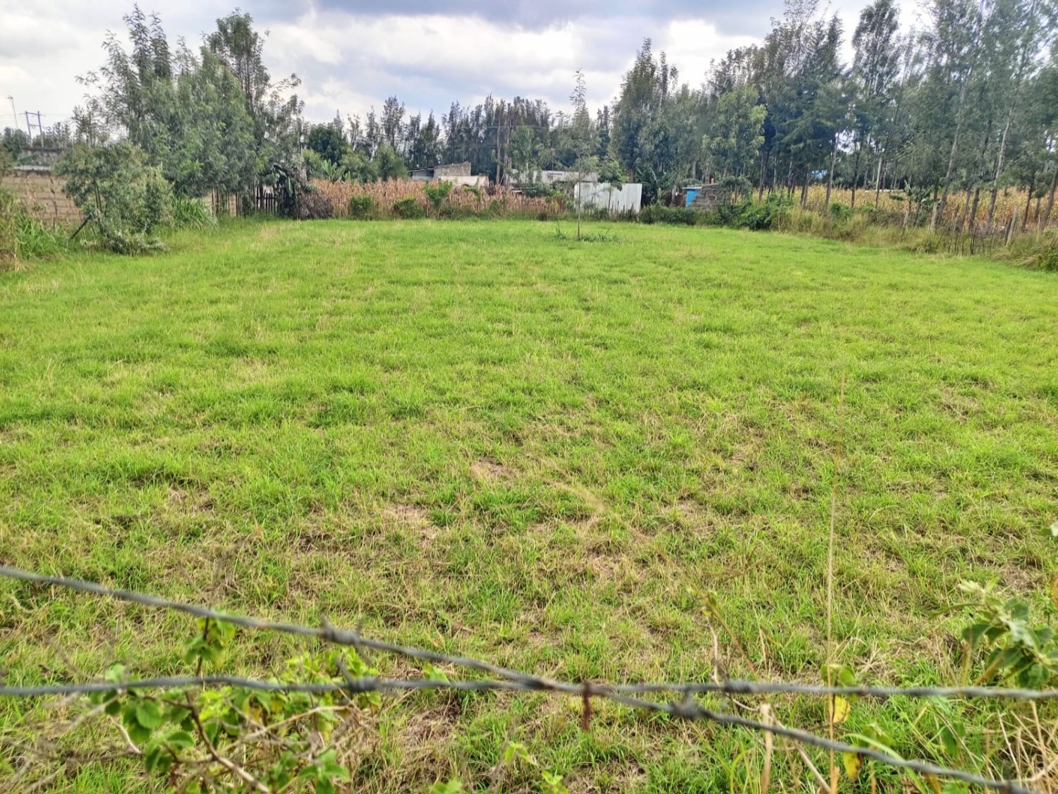 Gilgil Milimani Plot For Sale